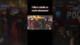 Muere caballo en noche blanquiazul pnp policíanacionaldelperú lima peru policianacional [upl. by Farrah]