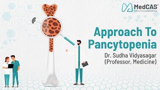 Approach to Pancytopenia by Dr Sudha Vidyasagar Professor Medicine [upl. by Akoyin]