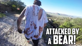 VICIOUS BEAR ATTACK Warning GRAPHIC CONTENT [upl. by Ayota502]