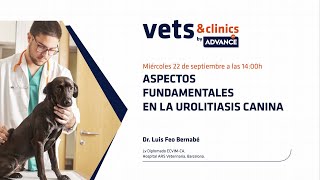 44ES quotAspectos fundamentales en la urolitiasis caninaquot [upl. by Andee]