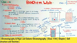 Chromatography Paper amp Column Chromatography Class 11th Chapter Cell structure and function [upl. by Yra]