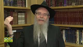 RABINO RESPONDE  Rabino David Weitman fala sobre o Rebe de Lubavitch [upl. by Hadwin]