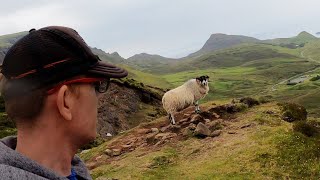 Isle Of Skye THIS sheep wouldnt move and then it [upl. by Oicangi]