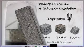 Understanding the Effectors on Dissolution  Part 1 [upl. by Nirat533]