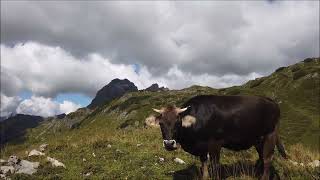 Bregenzerwald Wanderung Wunderschöne kleine Runde im Widdersteingebiet vom Hochtannbergpass aus [upl. by Ahsas274]