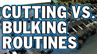 Cutting vs Bulking Routines  Whats the Difference [upl. by Gemmell]