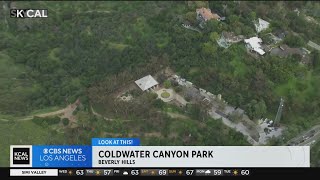 Coldwater Canyon Park  Look At This [upl. by Eivol]