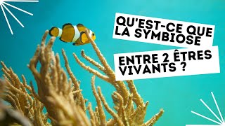 Questce que la symbiose entre 2 êtres vivants [upl. by Crane]