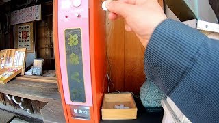 Sakura and Omikuji Vending Machine Good Hanami Place [upl. by Goeger737]