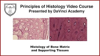 Histology of Bone Matrix and Supporting Tissues Bone Histology Part 2 of 3 [upl. by Eibbob]