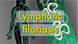 Lymphatic filarial worms [upl. by Salene352]