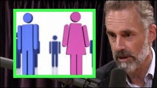 Jordan Peterson Explains the Gender Paradox  Joe Rogan [upl. by Artemahs]