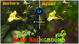 BLUR BACKGROUND EDITING FOTO MACROlightroom photoroom lensdistortions [upl. by Eiramlatsyrc736]