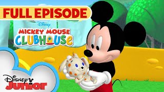 Plutos PuppySitting Adventure  S1 E14  Full Episode  Mickey Mouse Clubhouse  disneyjr ​ [upl. by Eirhtug356]