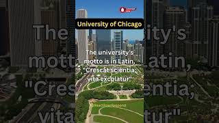 University of Chicago Secrets You NEED to Know UCHICAGO [upl. by Darum]