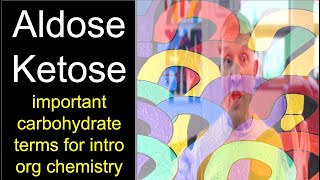 Aldoses and Ketoses important carbohydrate terms [upl. by Aeret]