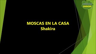 Shakira  Moscas en la Casa KaraokePista [upl. by Tedman]