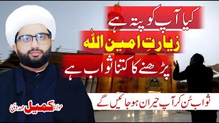 Ziarat Ameenullah Parhnay Ka Kitna Sawab Hai  Maulana Kumail Mehdavi [upl. by Olra]