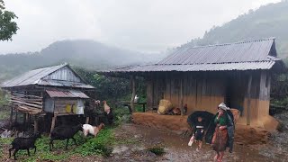 Mountain Village Life in Heavy Rain  Walk in Rainy Day  Explore My Local Village [upl. by Ninehc415]