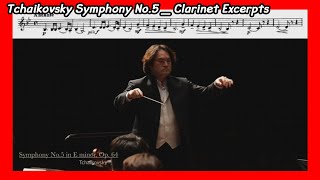 ◐Tchaikovsky Symphony No5 Clarinet Excerpts◑  차이코프스키 5번 교향곡 클라리넷 액섭 슈테른필하모닉오케스트라 [upl. by Joseito]