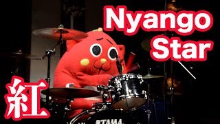 【超絶ドラム】にゃんごすたーnyangostar『紅』 X JAPAN [upl. by Cal755]