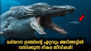 മരിയാന ട്രഞ്ചിലെ പതിയിരിക്കുന്ന അപകടങ്ങൾ😦 Secrets Of Mariana Trench And Challenger Deep Malayalam [upl. by Nohj]