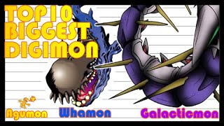 TOP 10 BIGGEST DIGIMON Height amp Length  TOP 5 IMMEASURABLE DIGIMON Digimon Top 10 1 [upl. by Steinke421]