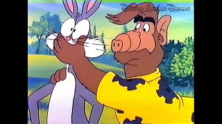 Wonderful Ways to Say No  Production Master  1990  Cartoon All Stars to the Rescue [upl. by Carrel]