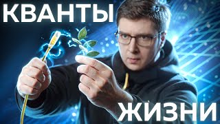 Невидимая связь всего живого  Безумные научные идеи 5 [upl. by Relyuhcs]