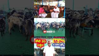 gorrela pempakam videos shorts ytshorts gorrelapempakamtelugu gorrelafarm manalocalfarmer [upl. by Akinehs]