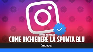 Come richiedere la spunta blu su Instagram con la nuova procedura di verifica dellaccount [upl. by Naehgem]