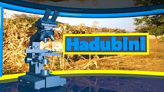 🔴TBCLIVE HADUBINI SEPTEMBA 302023  SAA 200300 USIKU [upl. by Anen226]