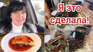 ✅ ЛУЧШЕ ЭТО СДЕЛАТЬ ПОЗДНО ЧЕМ ОЧЕНЬ ПОЗДНО ✅ Ruta Vlog HozajushkaRuta RutaLutkevica [upl. by Enaols]