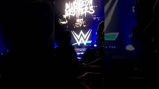 quotBludgeon Brothersquot Entrance  WWE Live Bremen 2018  RIP Luke Harper aka Brodie Lee [upl. by Nylasej]