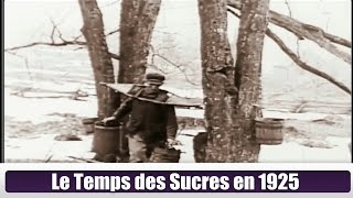 Le Temps des Sucres en 1925Hier à Aujourdhui [upl. by Oivatco]