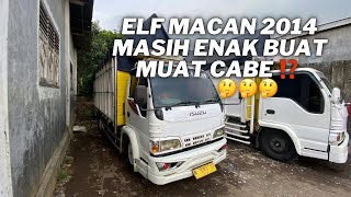 REVIEW TRUK ISUZU ELF MACAN tahun 2014 TRUK YANG HARGANYA TERGORENG SEKARANG ‼️🥵 [upl. by Aklog118]