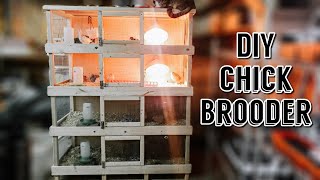 DIY Chick Brooder  Multiple Level Chick Brooder  Chick Brooder Design [upl. by Fuller193]