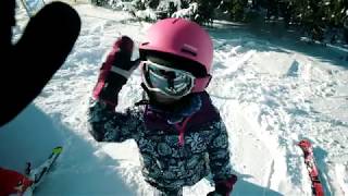 Grizzly Family Snowpark Jungholz [upl. by Aneis]