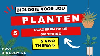 5 vwo  Planten  5  Reageren op de omgeving [upl. by Ennoval]