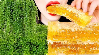 ASMR RAW HONEYCOMB SEA GRAPES 바다포도 벌집꿀 먹방 MUKBANG EATING SOUNDS 咀嚼音 蜂の巣 ハニカム  ZOEY ASMR 조이 [upl. by Leahey]