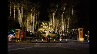 Paso Robles Holiday Tree Lighting [upl. by Krahmer884]