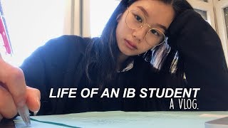 LIFE OF AN IB HIGH SCHOOL STUDENT Exams week  What I Eat [upl. by Preuss]