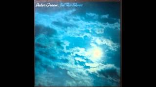 Peter Green  In The Skies  Full Album  1979 [upl. by Howard422]