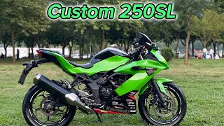 Ninja 250SL Modifiyeli  Bol Gazlamalı [upl. by Aicnetroh]