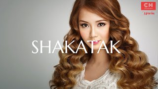 THE BEST OF SHAKATAK [upl. by Ennayd]