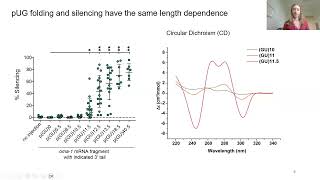 An Unusual RNA Quadruplex Directs Gene Silencing in vivo  Riley Petersen [upl. by Silliw]