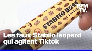 Le surligneur Stabilo léopard qui passionne Tiktok nexiste pas [upl. by Angrist]