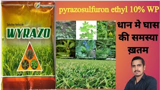 pyrazosulfuron ethyl 10 wp uses in hindipyrazosulfuron ethyl 10 wp uses in hindi dose [upl. by Krug]