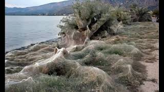 Aitoliko Etoliko EtoliaAcarnania Greece Αιτωλικού [upl. by Esinaej]