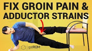 THE COPENHAGEN EXERCISE Fix Hip Pain amp Groin Strains [upl. by Penelopa]